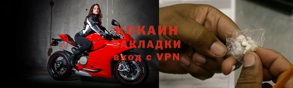 шишки Вяземский