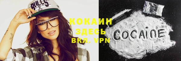 шишки Вяземский